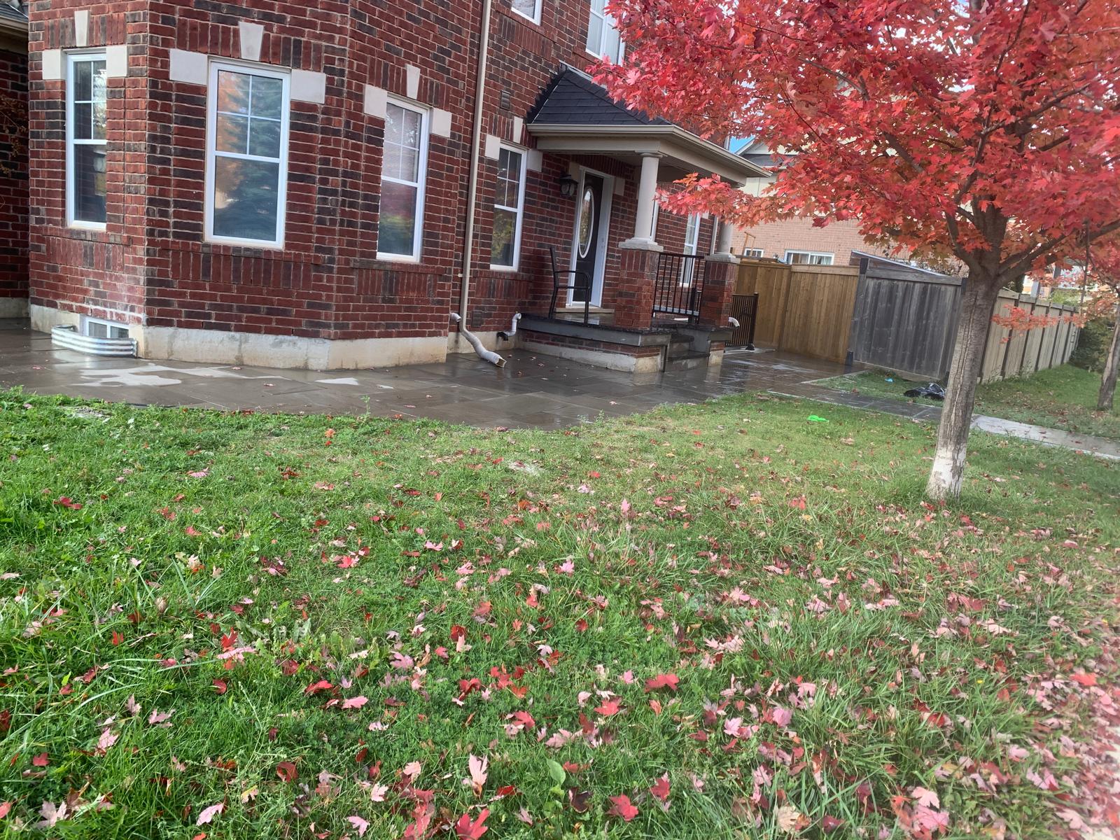 Interlocking & Hardscaping - professional landscaping service