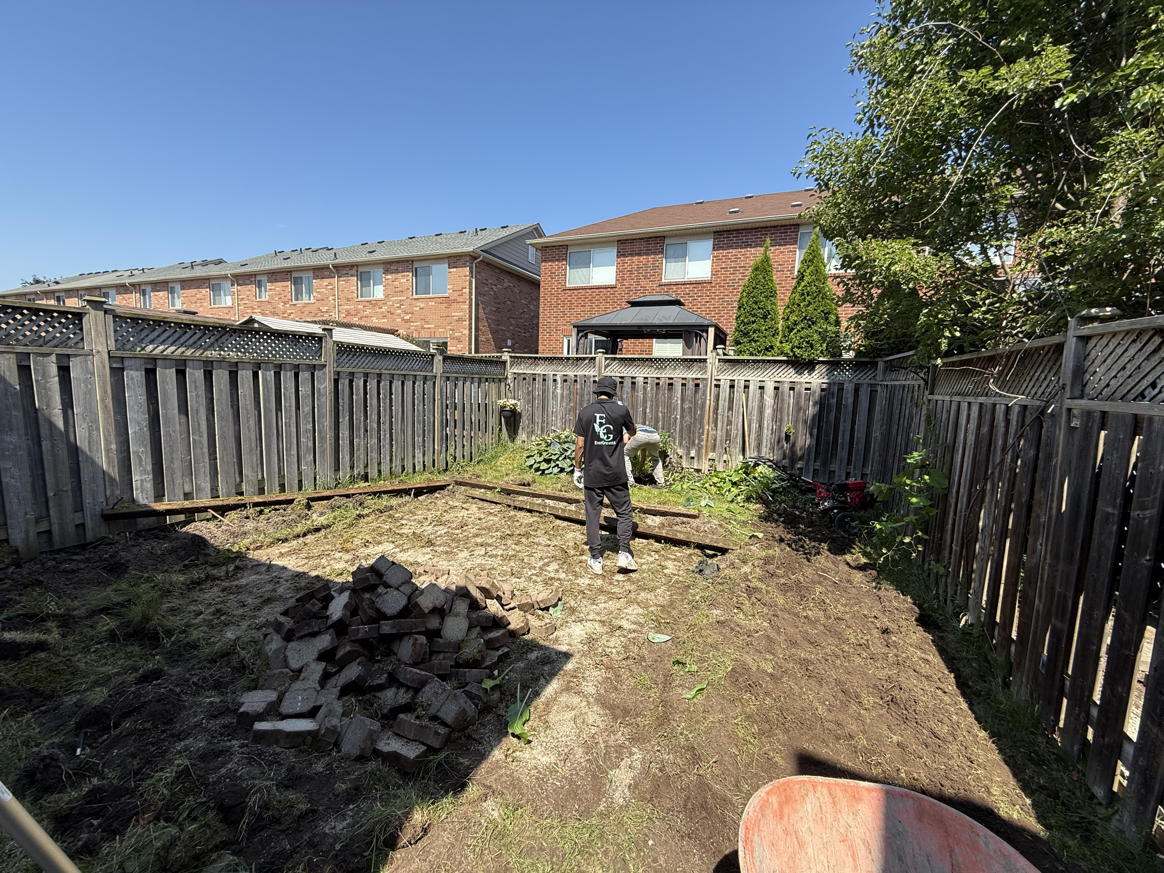 Fresh Kentucky bluegrass sod being laid on prepared soil in a Toronto backyard