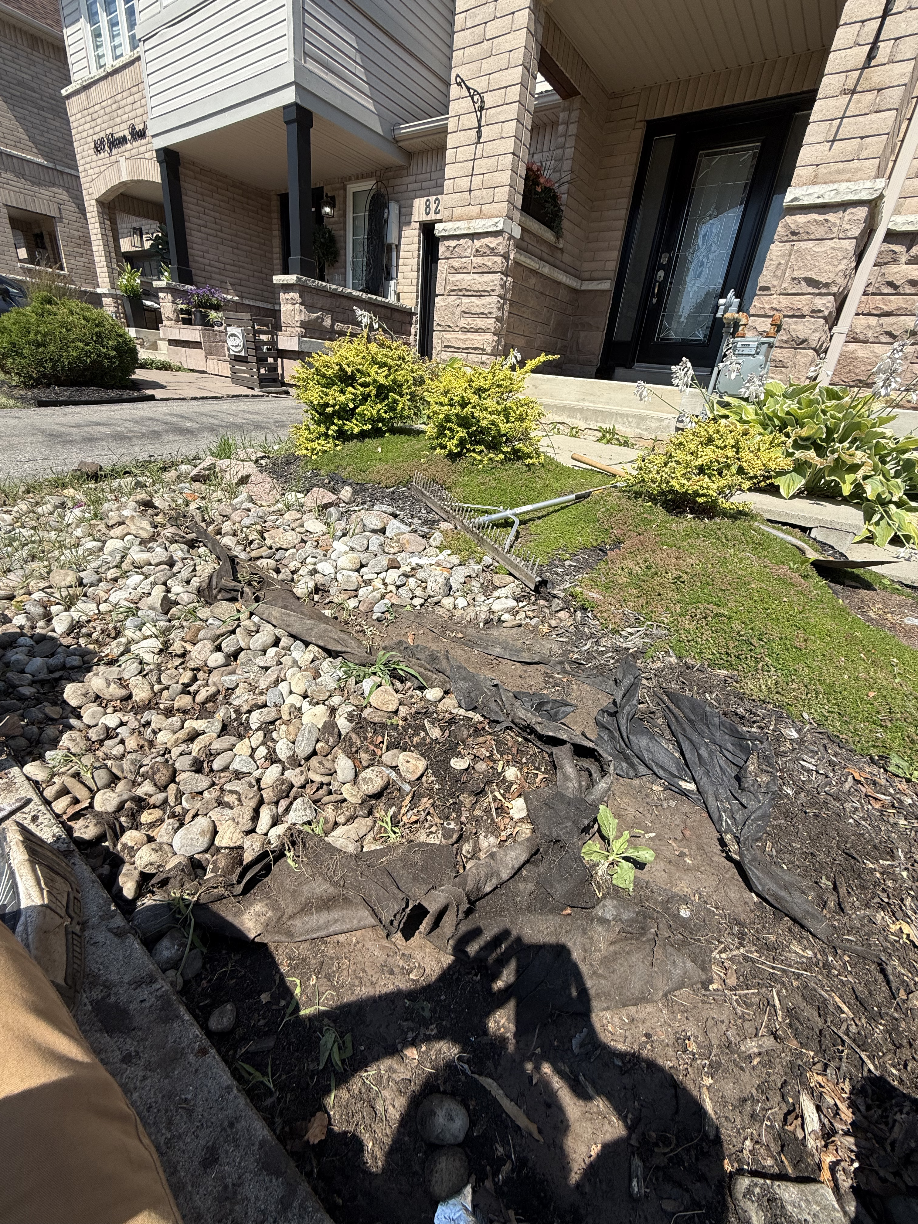 Sod Installation project example 3