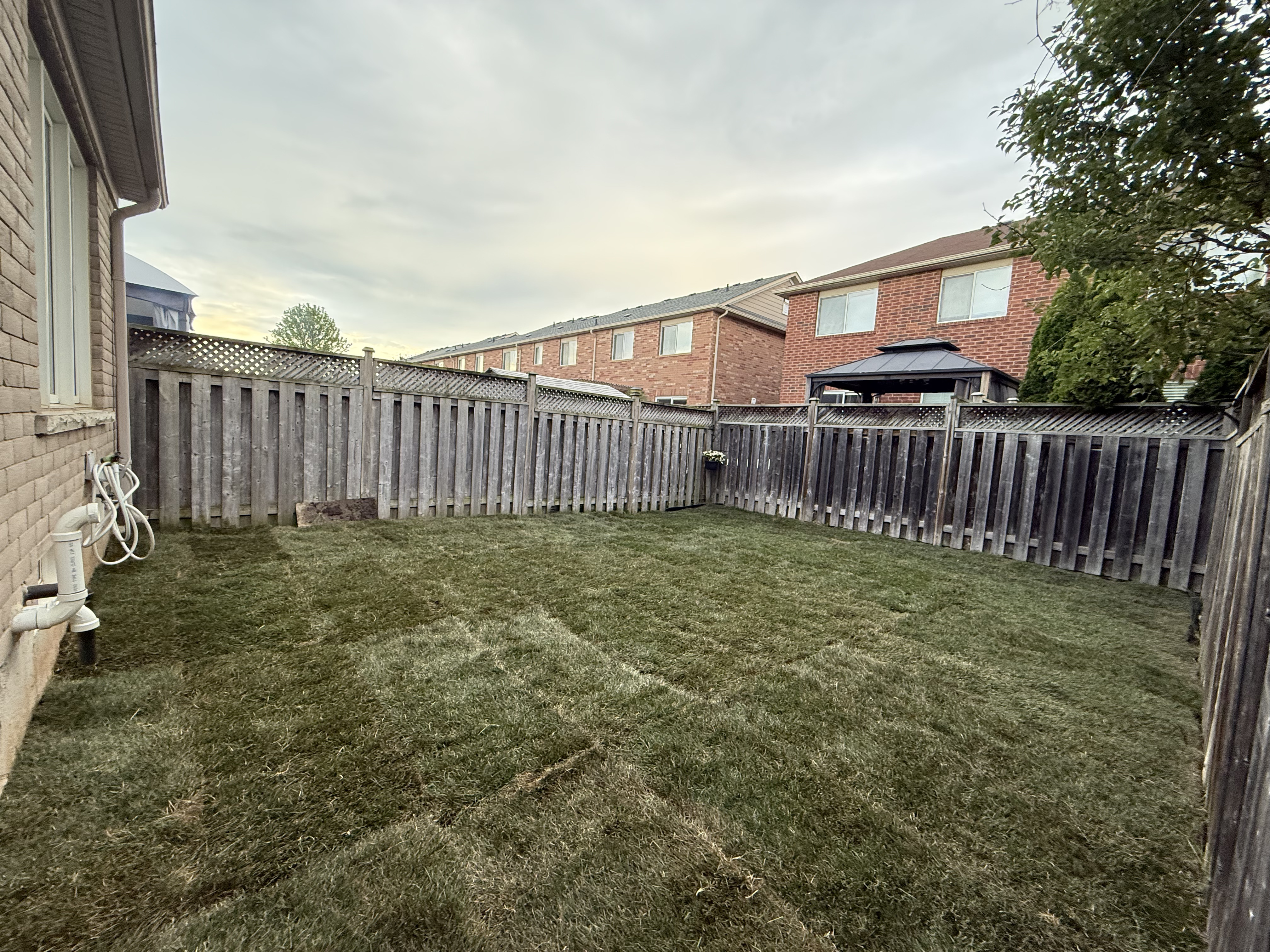 Sod Installation project example 5